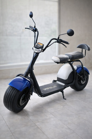 Moterina eléctrica RALI